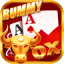 rummy 91 all